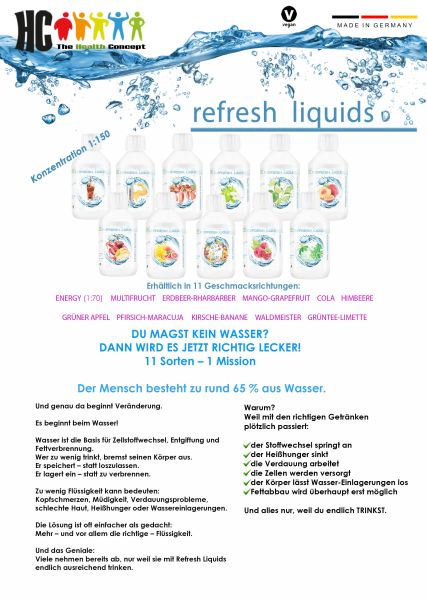 Flyer Getränke Liquids, 50 Stück